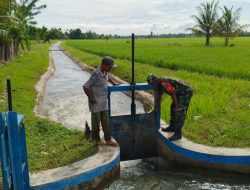 Babinsa Turun ke Sawah, Pastikan Irigasi Lancar Demi Hasil Panen Maksimal