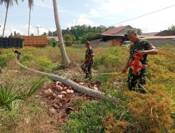 Babinsa Koramil 13/Baktiya Gotong Royong Bangun Jembatan Sementara dari Pohon Kelapa