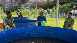 Komadan Kodaeral XIV Laksanakan Pengecekan Ketahanan Pangan