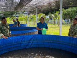 Komadan Kodaeral XIV Laksanakan Pengecekan Ketahanan Pangan