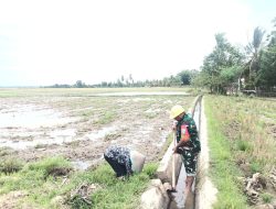 Babinsa Turun ke Sawah, Bersihkan Irigasi Demi Dukung Ketahanan Pangan