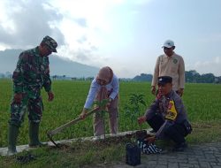 Kolaborasi TNI-Polri dan Pemda Trenggalek Wujudkan Net Zero Carbon