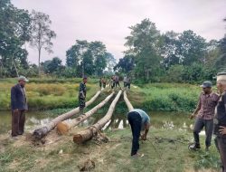 Sinergi Tanpa Batas, Dua Koramil dan Warga Bangun Jembatan Penghubung di Perbatasan Desa