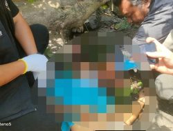 Pohon Tumbang di Jalan Kapten A Rivai Palembang Timpa Pengendara Motor, Satu Korban Meninggal di Lokasi