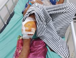 Respons Cepat Polda Sumsel: Polres OKU Beri Pertolongan Medis bagi Korban Serangan Beruang