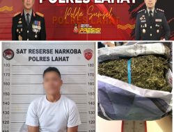 Polres Lahat Gagalkan Peredaran Satu Kilogram Ganja Asal Jarai