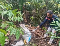 Kasat Reskrim Polres OKU Selatan Sesalkan Aksi Main Hakim Sendiri di Buay Runjung