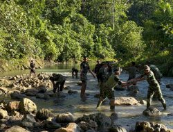 Karya Bakti Skala Besar Kodam I/BB Dimulai, Jembatan Perintis Garuda di Sungai Hou Nias Dibangun