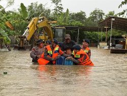 Brimob Polda Sultra Evakuasi Warga Terdampak Banjir di Sejumlah Titik Kota Kendari