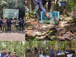 Krimsus Polda PBD Selamatkan dan Kembalikan 17 Satwa di Lindungi ke Habitatnya