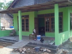 Warna Hijau Menambah Gagah Rumah Milik Warga Tobayan