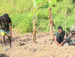 Pendampingan Warga Bercocok Tanam dan Merawat Kebun, Satgas Yonif 521/DY Gencarkan Binter TNI di Distrik Eragayam