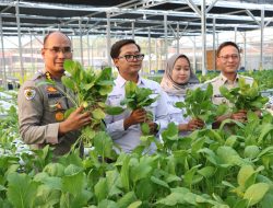 Polda Metro Jaya Bersama Polres Jakbar Panen Sawi Hidroponik dan Ikan untuk Ribuan Penerima Manfaat SPBG Palmerah