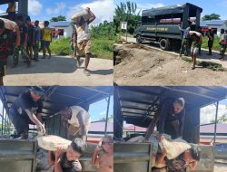 Dengan Penuh Antusias Warga Bantu Angkat Semen di Lokasi TMMD Ke-128 Kodim 1801/Manokwari