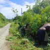 Sertu Denni Fenetiruma Ajak Warga Bersihkan Semak Belukar Sepanjang Jalan Kampung