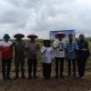 Polres Mesuji Gelar Panen Raya Jagung Serentak, di Desa Berasan Makmur