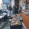 Sinergitas TNI AL dan BBKSDA Papua Barat Daya Gagalkan Penyelundupan Kayu Gaharu