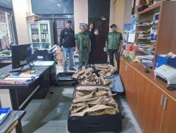 Sinergitas TNI AL dan BBKSDA Papua Barat Daya Gagalkan Penyelundupan Kayu Gaharu