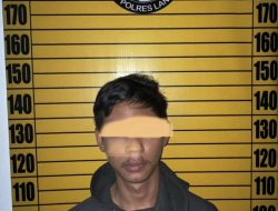 Pengedar Ganja Di Kota Ngabang Ditangkap