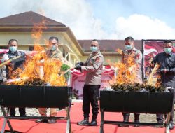 Konferensi Pers di Empat Lawang, Kapolda Sumsel Pimpin Pemusnahan 200 Kilogram Ganja