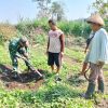 Tanam Pohon Mahoni Babinsa Sananwetan Bersama Poktan Rahayu, Cegah Erosi Dan Dukung Ketahanan Pangan