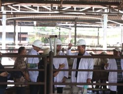 Polda Metro Jaya Cek Hewan Kurban di Dharma Jaya Jelang Idul Adha