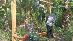Semangat Gotong Royong, Babinsa Juwangi Bantu Warga Bangun Pondok Kebun