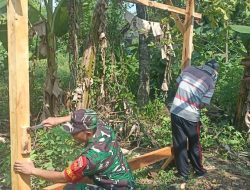 Semangat Gotong Royong, Babinsa Juwangi Bantu Warga Bangun Pondok Kebun