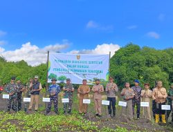Tanam Mangrove Serentak di Pantai Cemara, Kodim 0825/Banyuwangi Kirim Pesan Kuat Soal Ketahanan Lingkungan