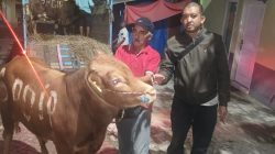 DPC PDI Perjuangan Kota Batu Terima Hewan Kurban 5 Ekor Sapi dari DPD Jatim, Komitmen Sebarkan Semangat Perjuangan dengan Berbagi Kebahagiaan Bersama Masyarakat