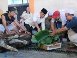 Polda NTB Sembelih Ratusan Hewan Kurban, Daging Dibagikan Kepada Masyarakat Penerima Manfaat