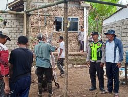 Penyembelihan 37 Ekor Kambing Kurban di Masjid Baiturrahim Dusun Bandaragin Berlangsung Khidmat, Dihadiri Tokoh Masyarakat dan Kepolisian