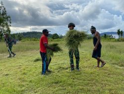 Papua Bersih dan Indah, Satgas Yonif 521/DY Bersama Warga Gelar Gotong Royong Karya Bakti di Kampung Walkep