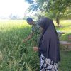 Babinsa Koramil 03/Dewantara Turun ke Sawah, Dampingi Petani Pantau Pertumbuhan Padi