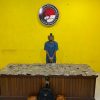 Satresnarkoba Polresta Sorong Kota Gagalkan 4,8 Kilogram Ganja, Satu Tersangka Diamankan