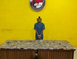 Satresnarkoba Polresta Sorong Kota Gagalkan 4,8 Kilogram Ganja, Satu Tersangka Diamankan
