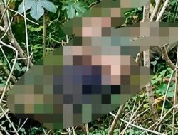 Remaja 17 Tahun Ditemukan Tewas di Semak-semak Asakota Kota Bima