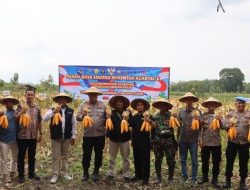 Polres Blora Ikuti Panen Raya Jagung Serentak Kuartal II dan Launching SPPG Polri Secara Virtual
