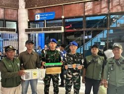 TNI AL dan BBKSDA Papua Barat Daya Gagalkan Upaya Penyelundupan Satwa Dilindungi