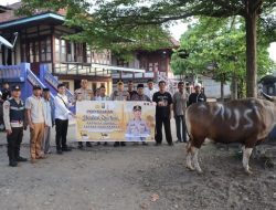 Wujud Kepedulian Sosial, Polda Sumsel Salurkan Bantuan Hewan Kurban ke Berbagai Daerah