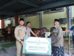 Semangat Berbagi Idul Adha, Polres Gresik Sembelih dan Salurkan Hewan Qurban 2026