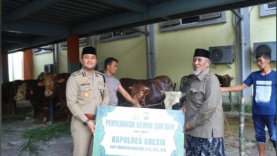Semangat Berbagi Idul Adha, Polres Gresik Sembelih dan Salurkan Hewan Qurban 2026