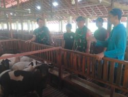 Curhat di Kandang Kambing, Cara Unik Babinsa Gemolong Cegah Penyakit Ternak