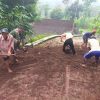 Wujud Sinergitas, Babinsa Banjarsari Bersama Warga Gotong Royong Lebarkan Jalan Desa