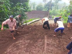 Wujud Sinergitas, Babinsa Banjarsari Bersama Warga Gotong Royong Lebarkan Jalan Desa