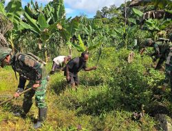 Perkuat Ketahanan Pangan Papua, Satgas Yonif 521/DY Bagikan Bibit Gratis dan Bantu Warga Berkebun di Kampung Benawa