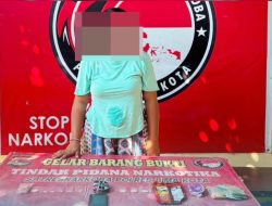 IRT Pengedar Sabu Ditangkap di Kota Bima, Polisi Sita 9 Paket Sabu Seberat 5,11 Gram