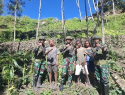 Wujudkan Ketahanan Pangan di Pedalaman Papua, Satgas Yonif 521/DY Dukung Kemandirian Masyarakat Distrik Kurima