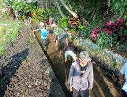 Babinsa Koramil 10/Sambi Bersama Warga Bersihkan Irigasi, Dukung Ketahanan Pangan di Desa Catur
