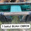Pelaku Pencurian Buah Sawit di Estate Bintang Mesuji Berhasil Diamankan Keamanan Perusahaan